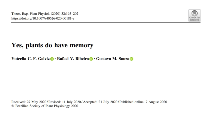 Yes, plants do have memory