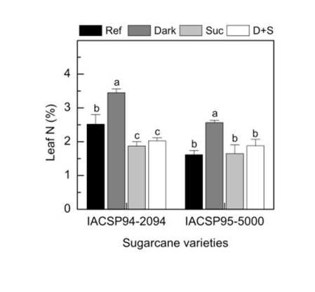 Increased sink strength offsets the inhibitory effect of sucrose on sugarcane photosynthesis