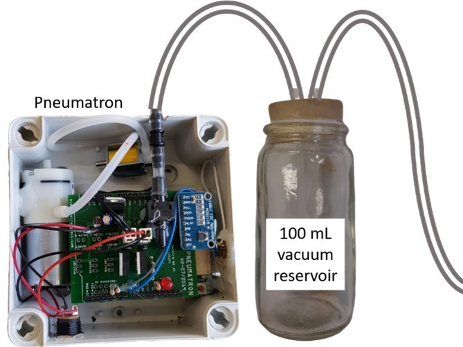 A semi-automated method for measuring xylem vessel length distribution