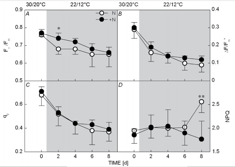 Leaf nitrogen supply improves sugarcane photosynthesis under low temperature