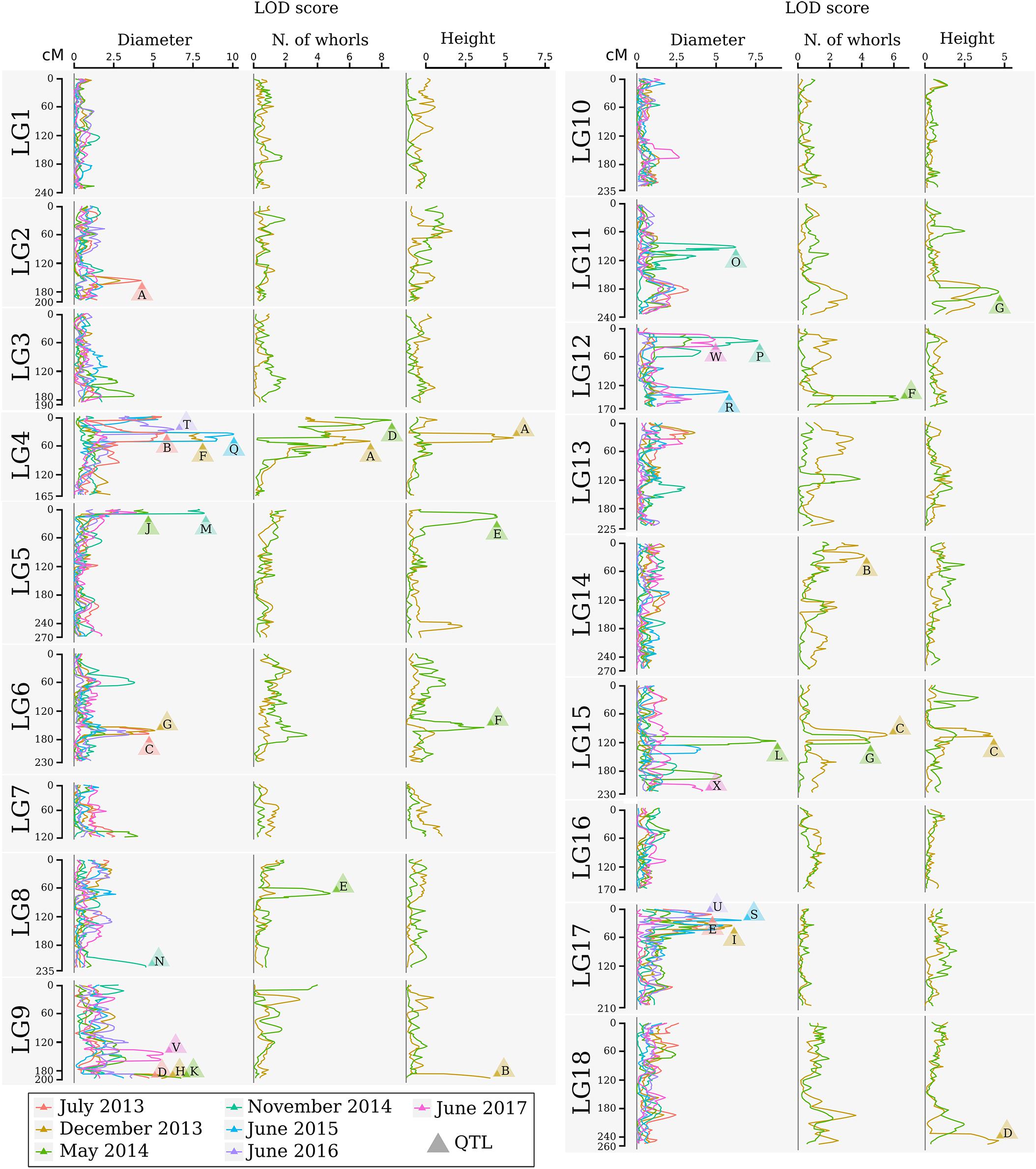 High-resolution genetic map and QTL analysis of growth-related traits of Hevea brasiliensis cultivated under suboptimal temperature and humidity conditions
