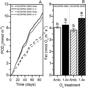 Physiological and biochemical responses of two sugarcane genotypes growing under free-air ozone exposure