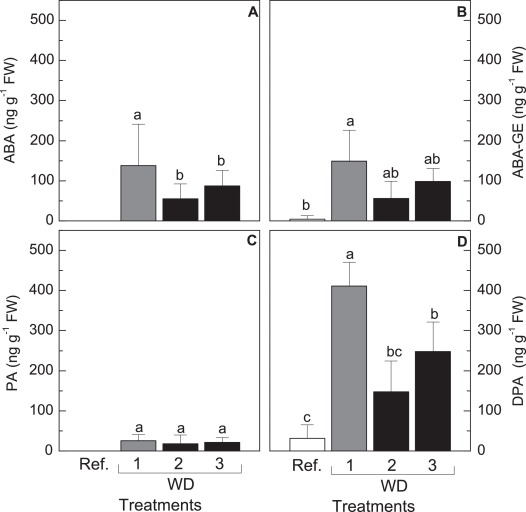 Drought tolerance of sugarcane is improved by previous exposure to water deficit