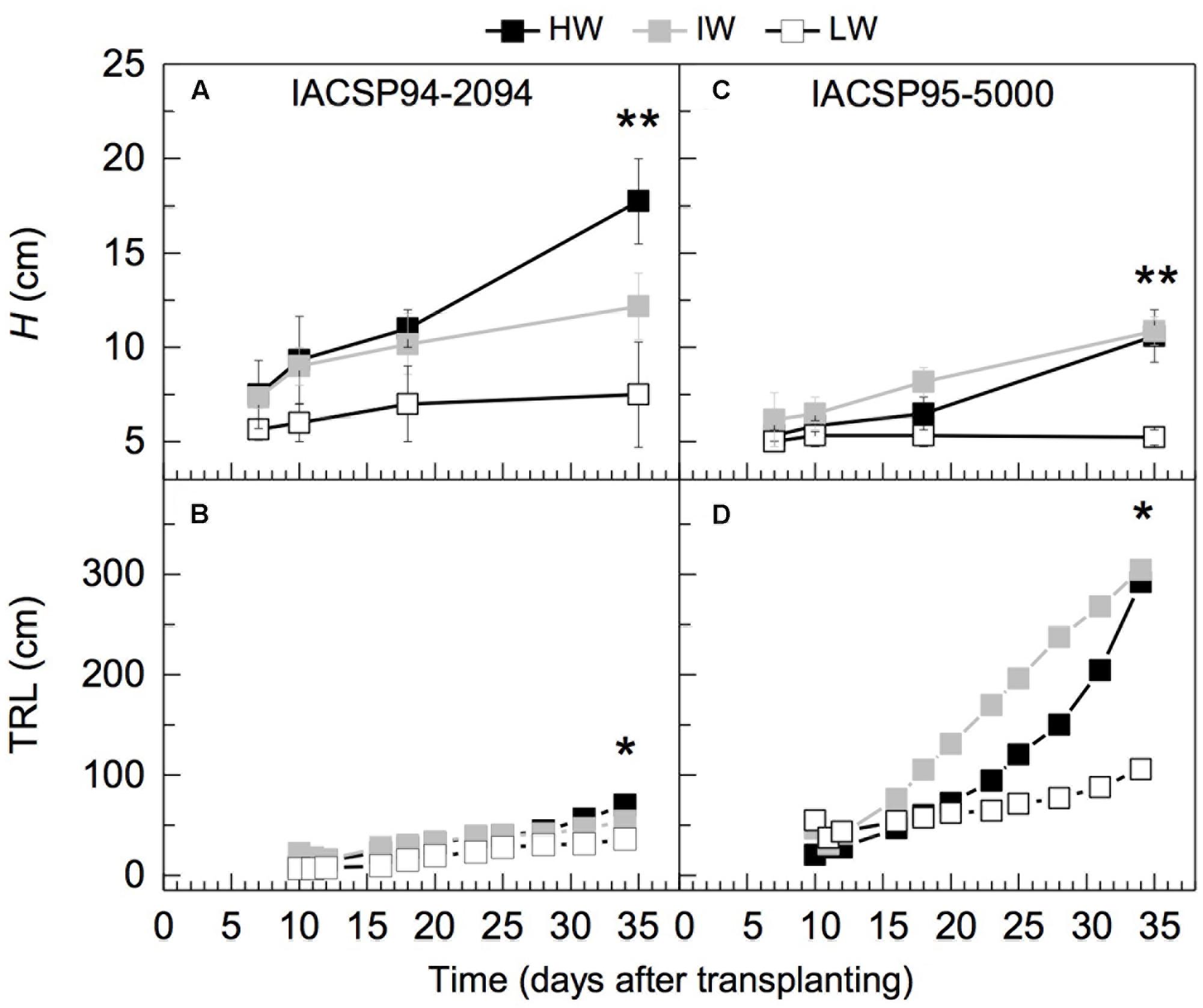 Physiological Plasticity Is Important for Maintaining Sugarcane Growth under Water Deficit