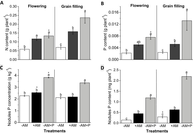 Mycorrhizae enhance nitrogen fixation and photosynthesis in phosphorus-starved soybean (Glycine max L. Merrill)