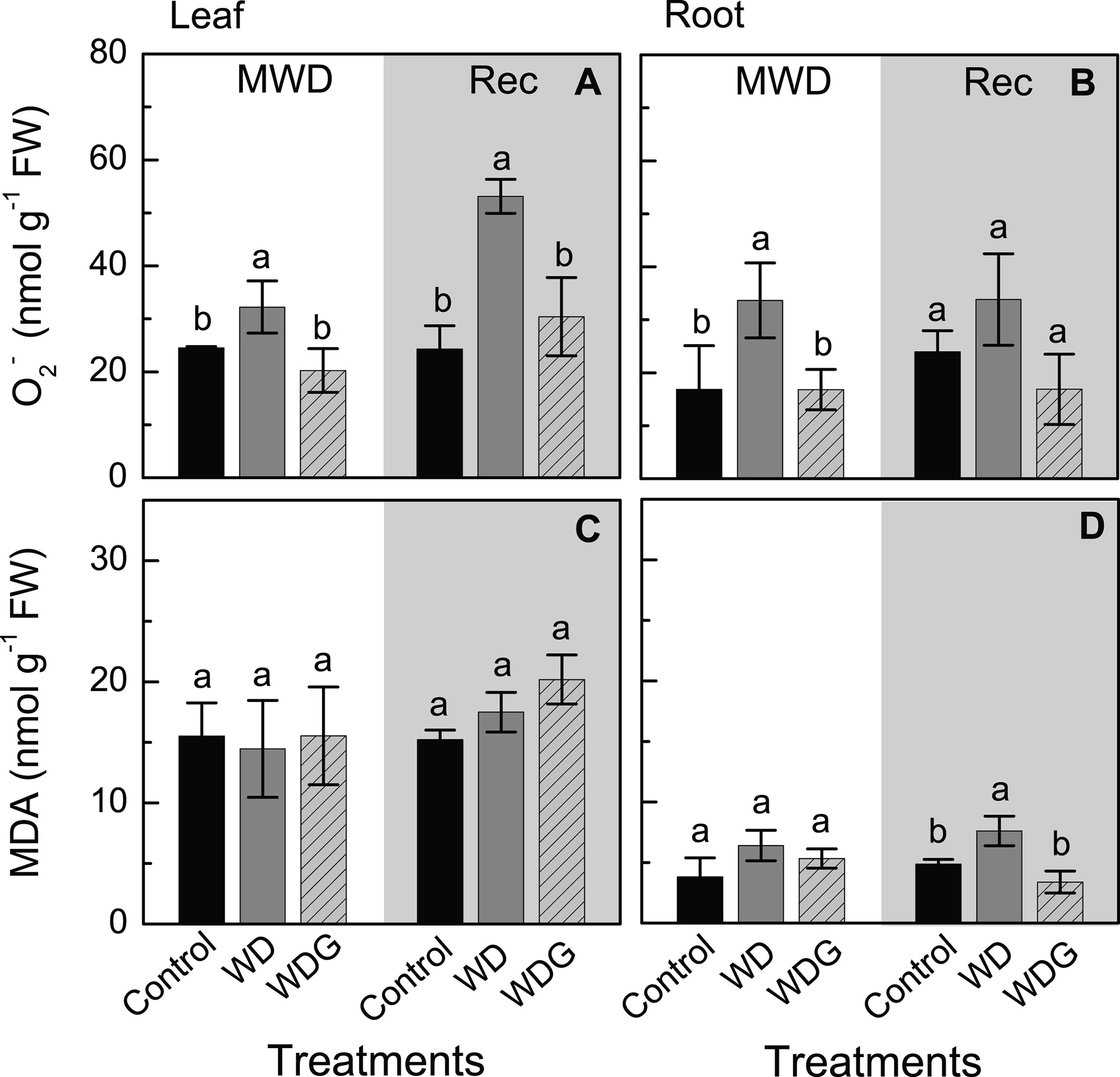  S‐nitrosoglutathione spraying improves stomatal conductance, Rubisco activity and antioxidant defense in both leaves and roots of sugarcane plants under water deficit 