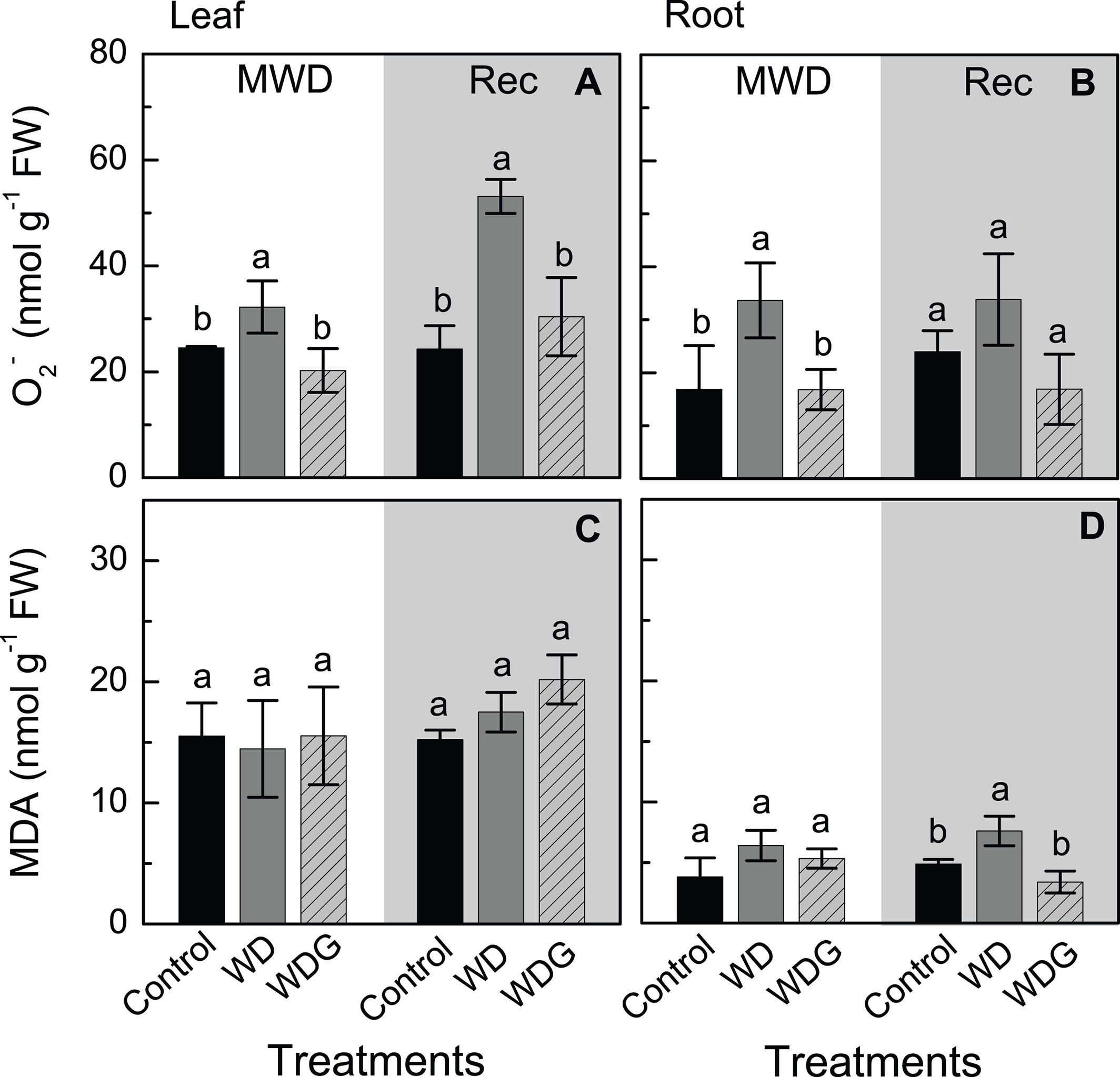 S‐nitrosoglutathione spraying improves stomatal conductance, Rubisco activity and antioxidant defense in both leaves and roots of sugarcane plants under water deficit