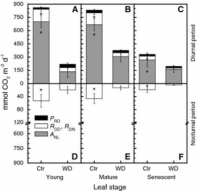 Biomass and bioenergy partitioning of sugarcane plants under water deficit