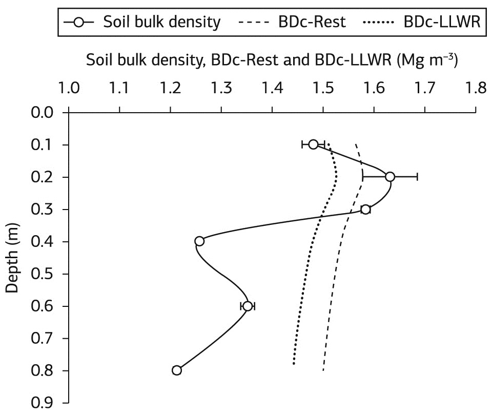 Root growth and distribution in sugarcane cultivars fertigated by a subsurface drip system