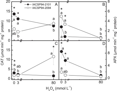 Short-term physiological changes in roots and leaves of sugarcane varieties exposed to H2O2 in root medium