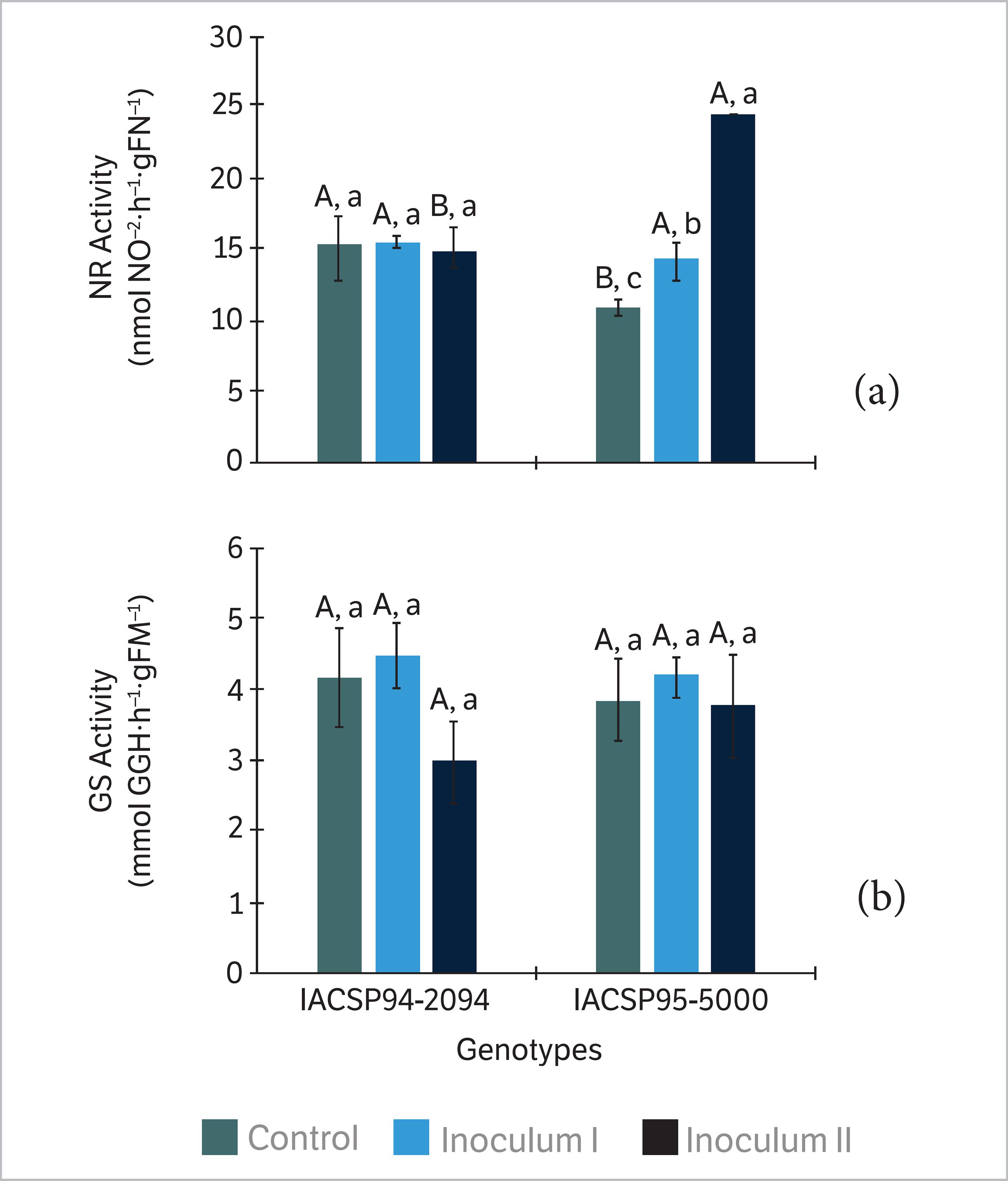 Endophytic bacteria affect sugarcane physiology without changing plant growth