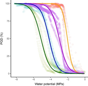 Using the Pneumatic method to estimate embolism resistance in species with long vessels: A commentary on the article “A comparison of five methods to assess embolism resistance in trees”