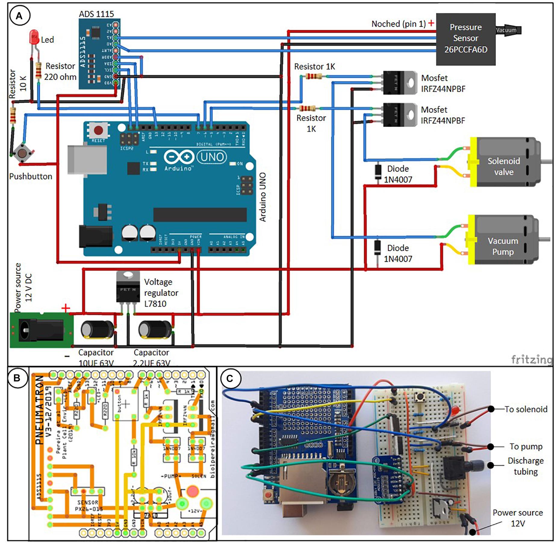 A User Manual to Measure Gas Diffusion Kinetics in Plants: Pneumatron Construction, Operation, and Data Analysis