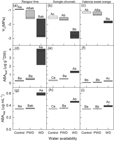 Water stress signaling and hydraulic traits in three congeneric citrus species under water deficit