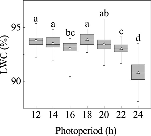 Energetic efficiency of biomass production is affected by photoperiod in indoor lettuce cultivation