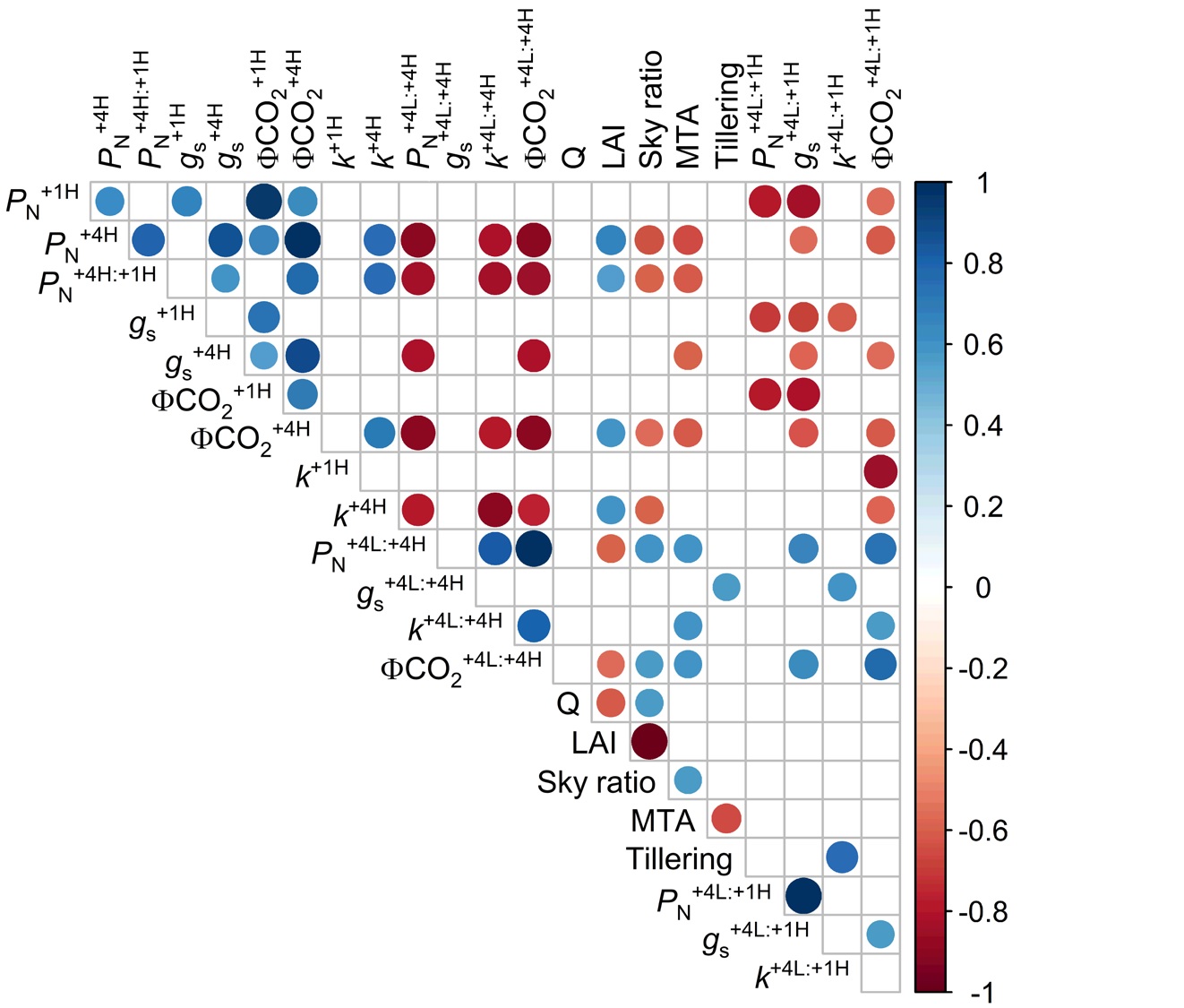 Evidence of photosynthetic acclimation to self-shading in sugarcane canopies