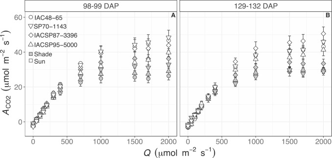 The negative impact of shade on photosynthetic efficiency in sugarcane may reflect a metabolic bottleneck
