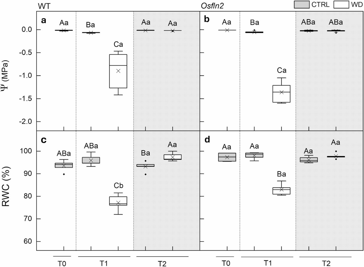 OsFLN2 gene knockout reduces leaf water status and photosynthetic performance of rice plants under water deficit
