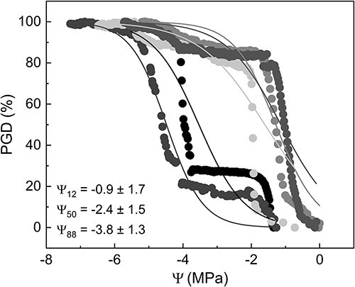 Xylem sap residue in cut-open conduits can affect gas discharge in pneumatic experiments