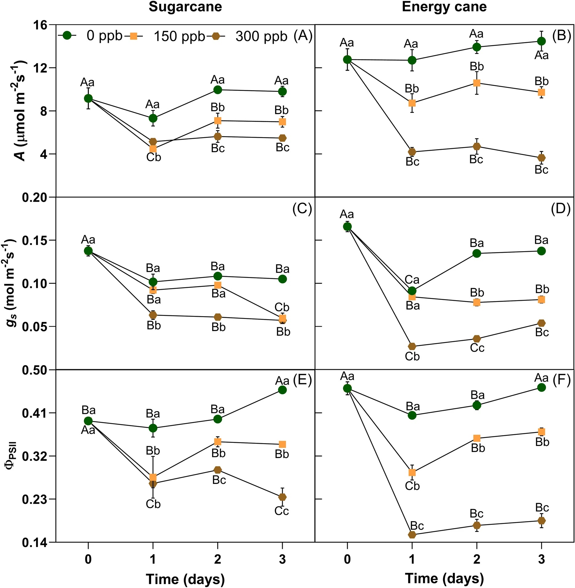 Young sugarcane plants exhibit higher photosynthetic tolerance to acute ozone exposure than energy cane